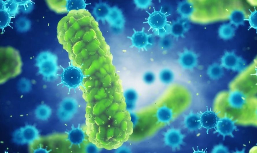 Virus y bacterias: gérmenes que atacan en silencio